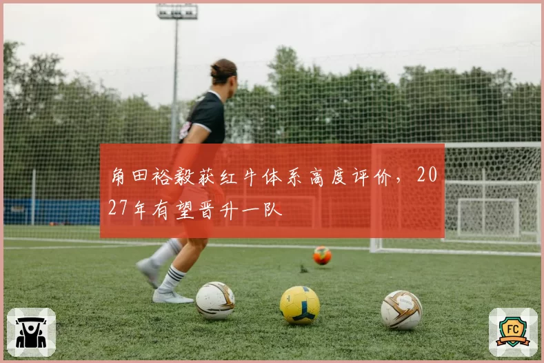 角田裕毅获红牛体系高度评价，2027年有望晋升一队