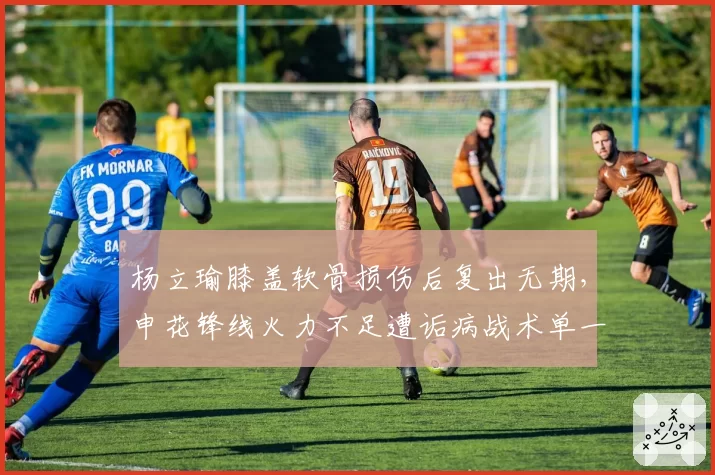 杨立瑜膝盖软骨损伤后复出无期，申花锋线火力不足遭诟病战术单一